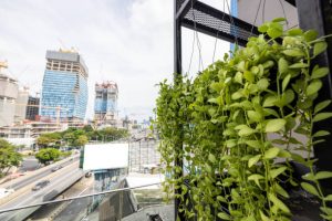 Benefits of Vertical Farming